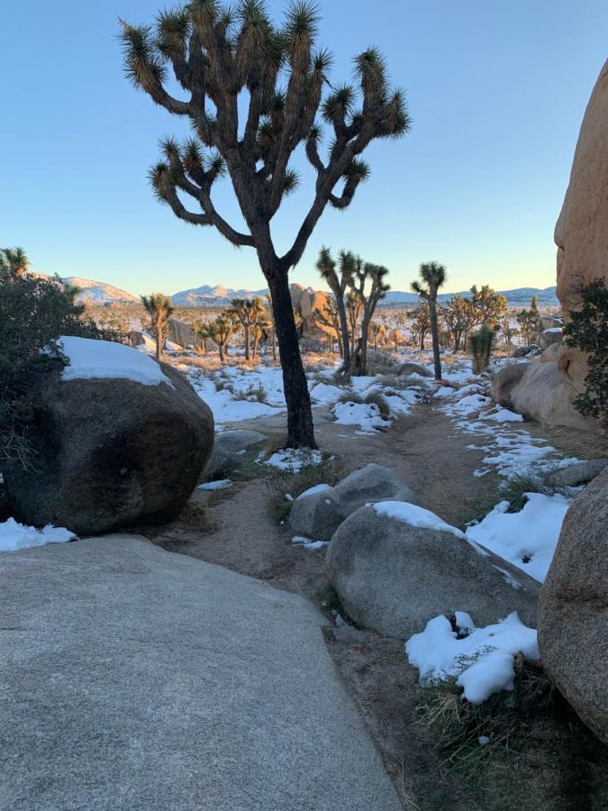 Popular Homestead! Location, Stargaze, Views! Joshua Tree Kültér fotó