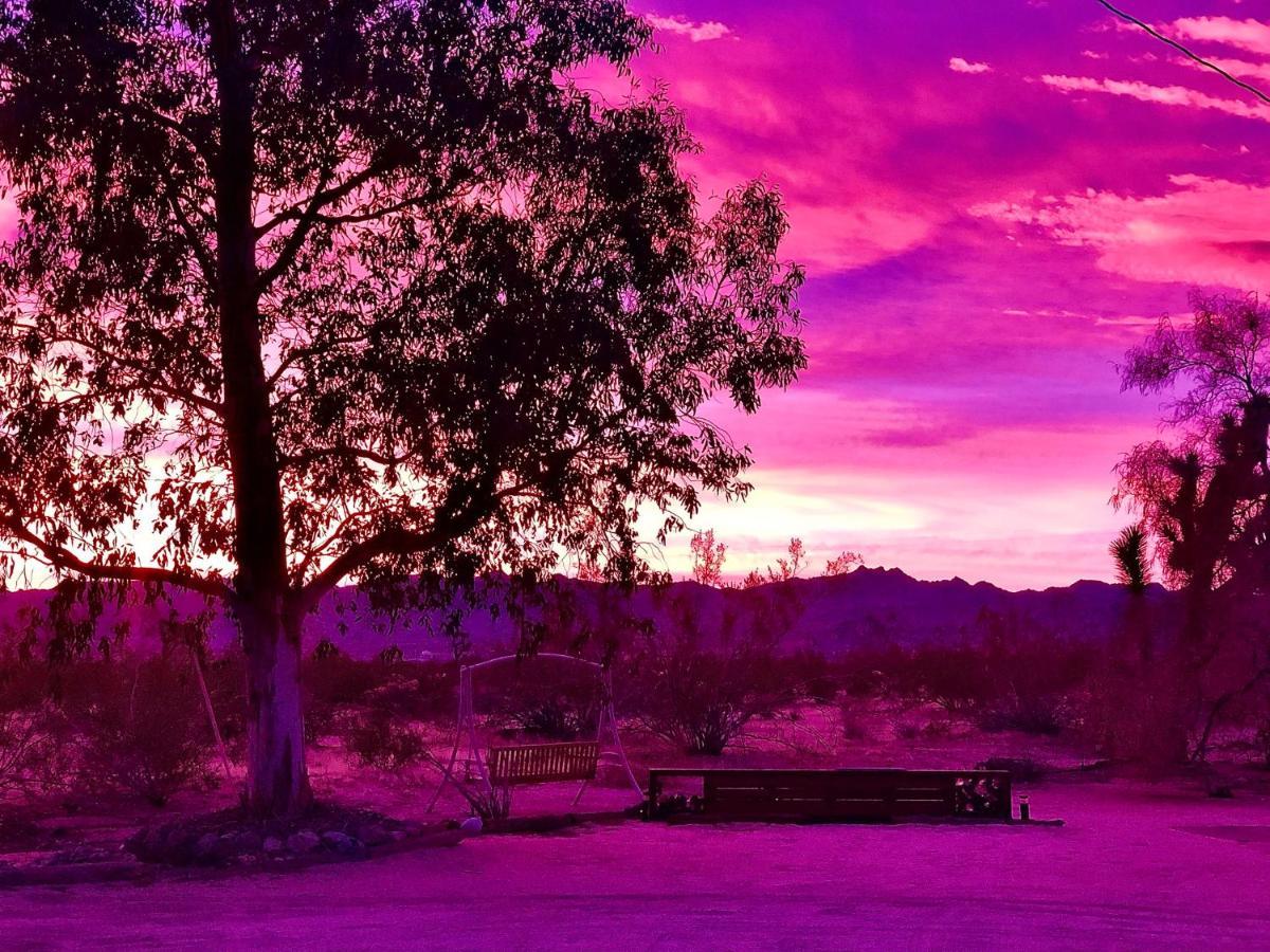 Popular Homestead! Location, Stargaze, Views! Joshua Tree Kültér fotó