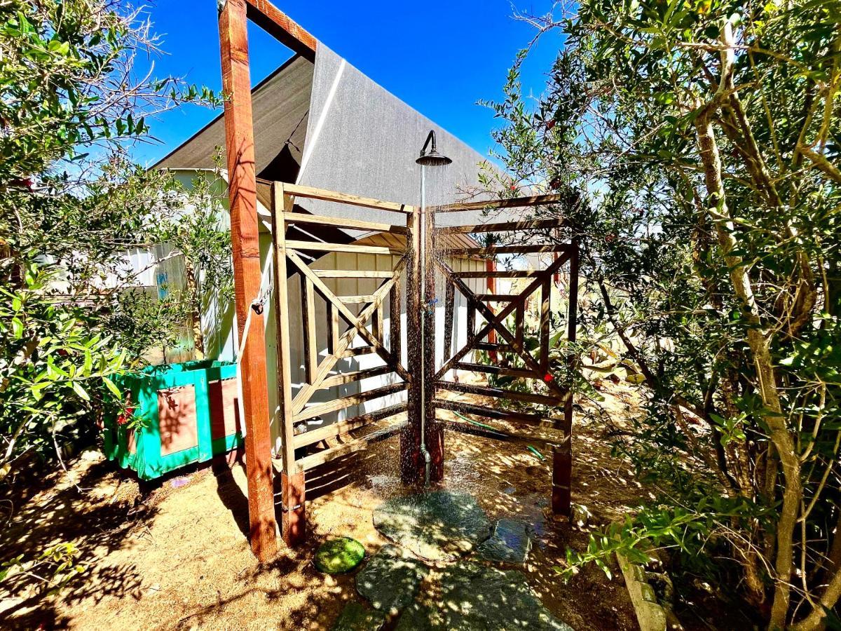 Popular Homestead! Location, Stargaze, Views! Joshua Tree Kültér fotó