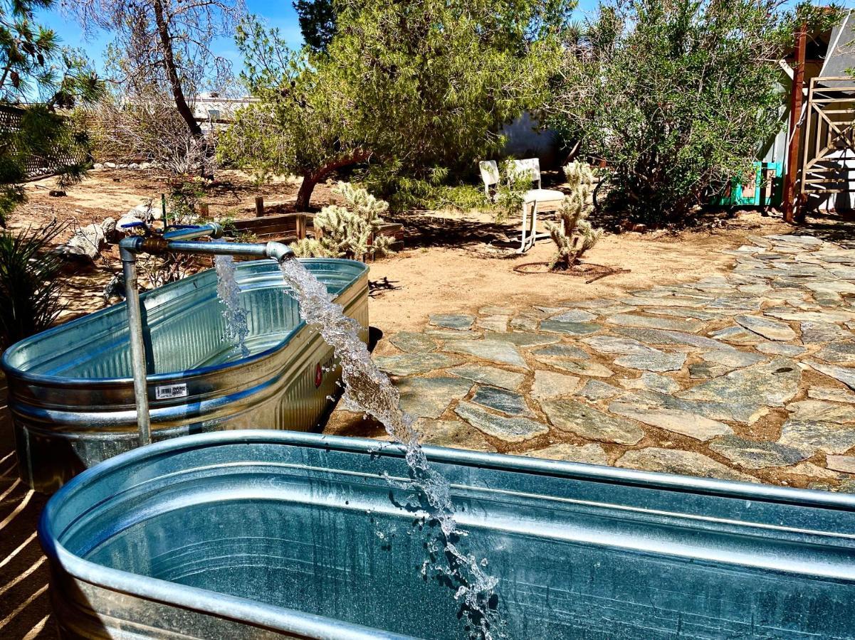 Popular Homestead! Location, Stargaze, Views! Joshua Tree Kültér fotó